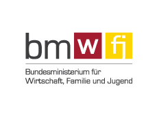 BMWFi Logo